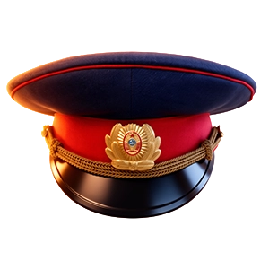 Фуражка под заднее стекло